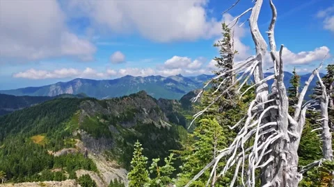 Tolmie Peak Trail, Mount Rainier National Park, Washington State, USA Scenic Mou Video stock 332084524