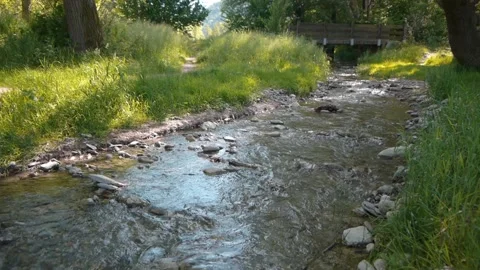 Tolsera torrent Video stock 154534798