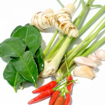 Tom yum set Stock Photos