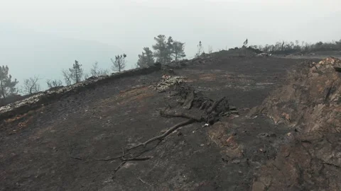 Tomaaereaincendio Video stock 201624768