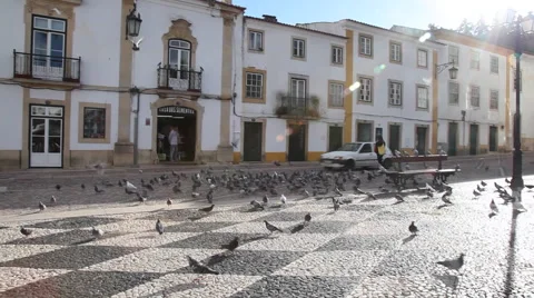 Tomar main square. Pigeons fly when car pass by Stock Footage 56874943