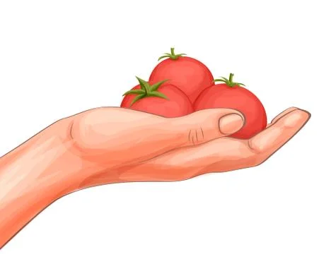 Tomat and hand vector illustration in cartoon style. Isolated Stock Illustration