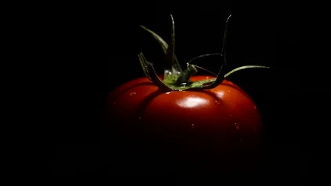 Tomat on black background Stock Footage 113344107
