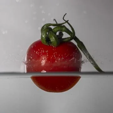 Tomate splash in water Stock Photos