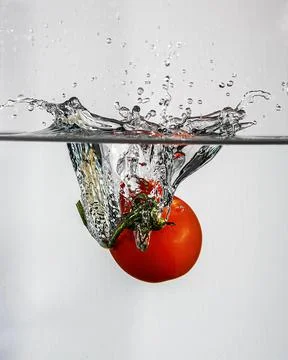 Tomate splash in water Stock Photos