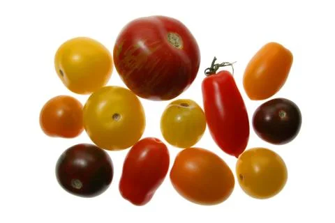 Tomaten Stock Photos