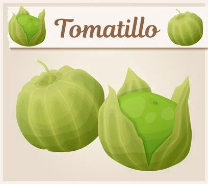 Tomatiilo vector icon, green vegetables group cartoon illustration. Organic Stock Illustration