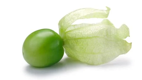 Tomatillo (Physalis philadelphica), paths Stock Photos