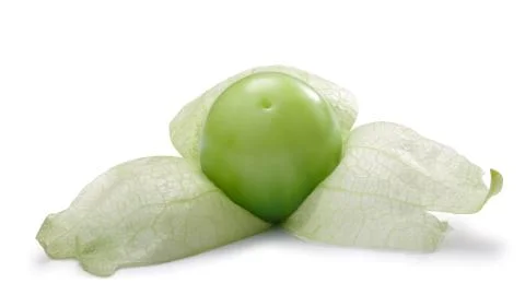 Tomatillo (Physalis philadelphica), paths Stock-Fotos