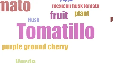 Tomatillo Word Cloud Animated On White Background Stock Footage 103669974