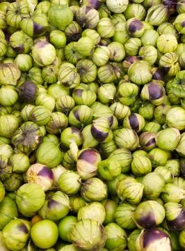 Tomatillos on display Foto stock