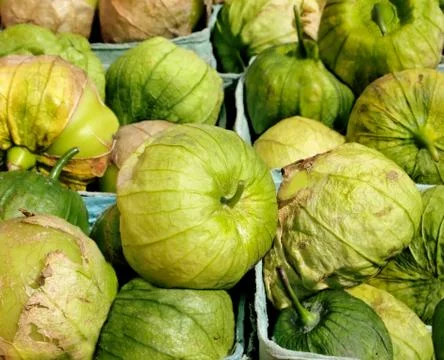 Tomatillos Stock Photos