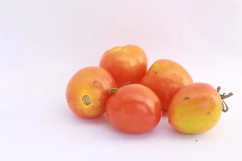 Tomato 1 Stock Photos
