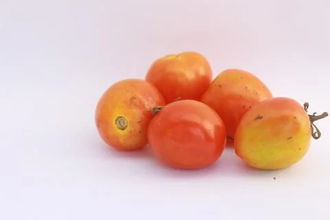 Tomato 2 Stock Photos