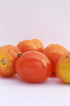 Tomato 3 Stock Photos