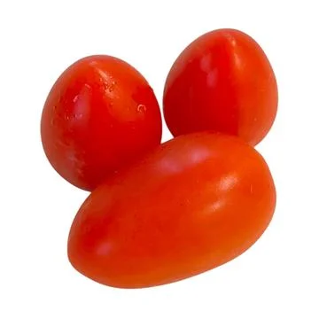Tomato-3 Stock Photos