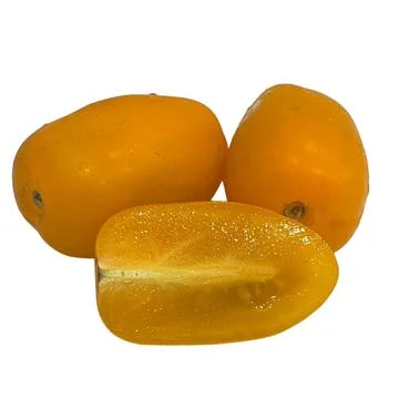 Tomato-3 Stock Photos