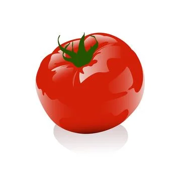 Tomato 3D vector illustration Stock Illustration