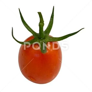 Tomato-4 Modello PSD