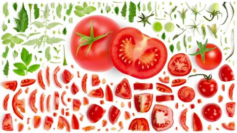 Tomato Abstract Collection Stock Footage