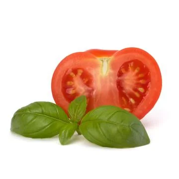 Tomato and basil leaf Stock Photos