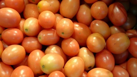 Tomato and cucumber Stock Footage 104142975