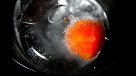 Tomato and Ice Video stock 22695228