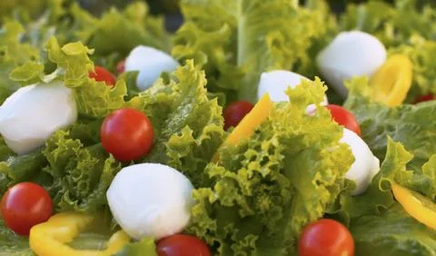 Tomato and Mozzarella Salad Stock Photos