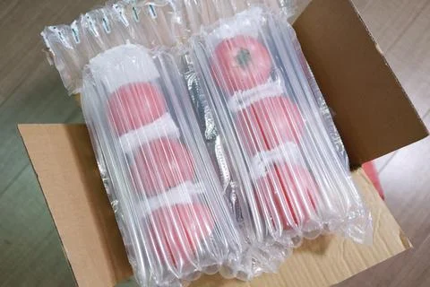 Tomato and vegetable logistics package show photos Stock-Fotos