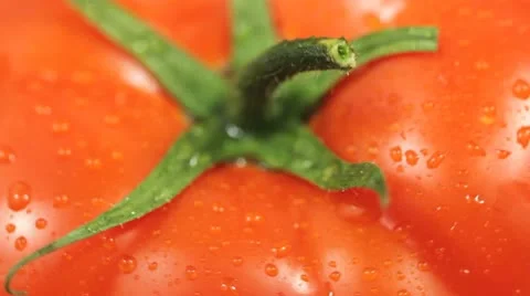 Tomato Background Stock Footage 8992281