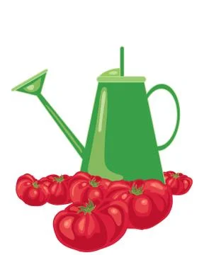 Tomato background Stock Illustration