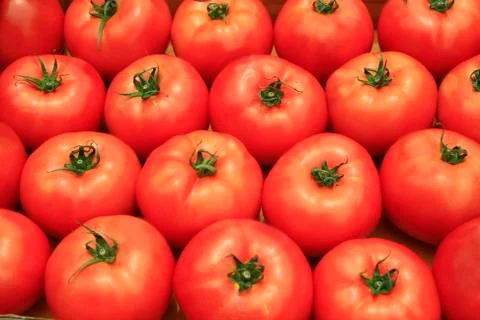 Tomato background Stock Photos