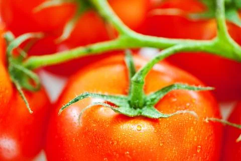 Tomato background Foto stock
