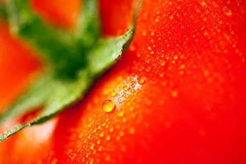 Tomato background Stock Photos