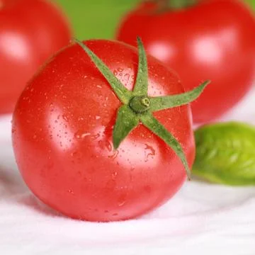 Tomato with basil Stock Photos