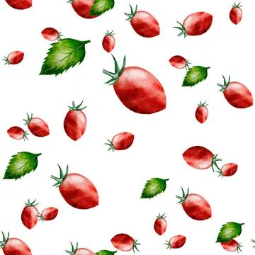 Tomato with basil watercolor pattern. Hand drawn cherry tomatoes on a branch 스톡 일러스트