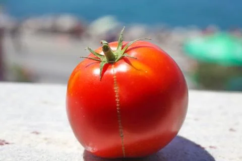 Tomato  on the beach Stock Photos