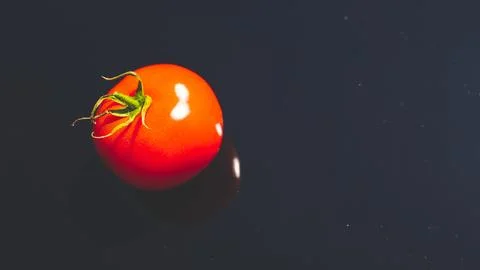 A tomato on black background glassy surface minimalist contrast vibrant colou Stock Photos