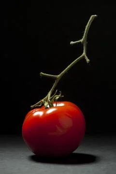 Tomato on black background Stock Photos