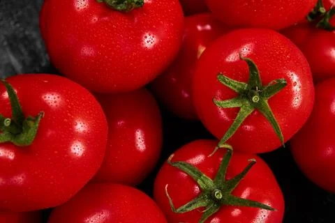 Tomato on a black background with realistic reflection and water drops. Fresh Stock Photos