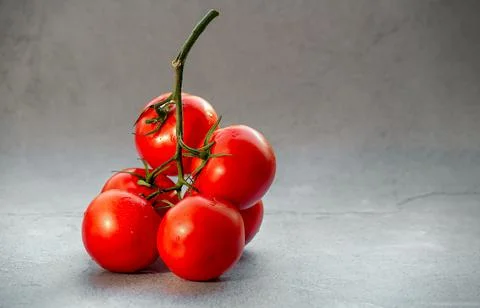 Tomato branch on bright background Stock Photos