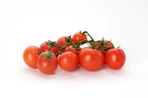 Tomato branch Stock Photos