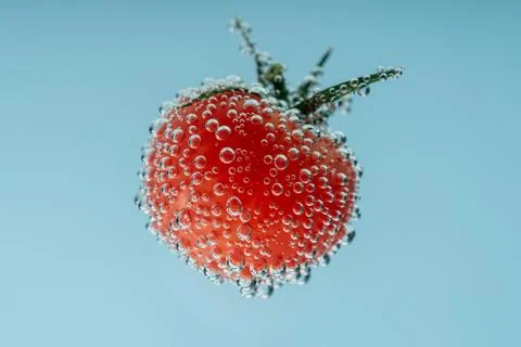 Tomato in bubbles Stock Photos