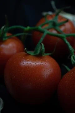 Tomato bunch isolated on solid black background. Stock Photos