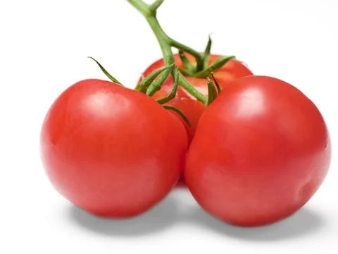 Tomato Bunch Stock Photos