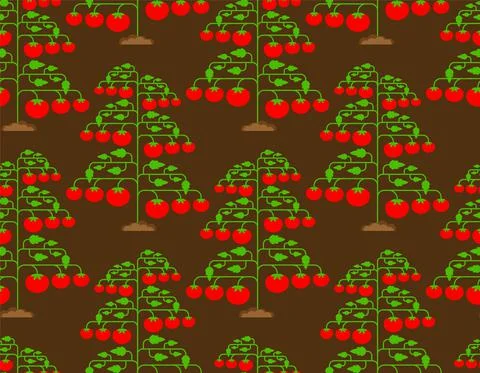 Tomato bush pattern seamless. Tomatos background. vector texture Illustrazione stock