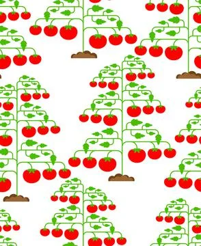 Tomato bush pattern seamless. Tomatos background. vector texture Stock Illustration