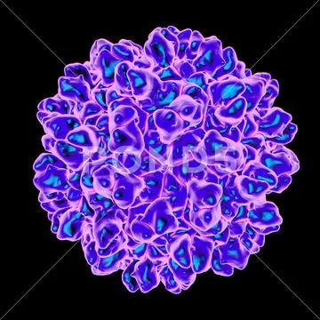 Tomato bushy stunt virus, artwork Stock Illustration