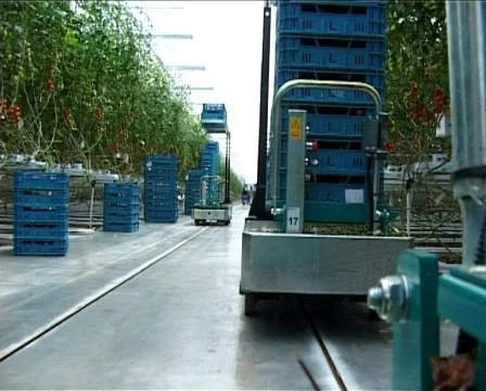 Tomato Cart (sped up) Video stock 590364