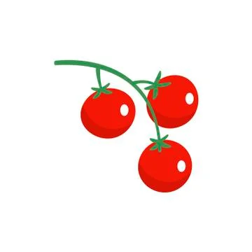 Tomato, cherie on white background. Vector illustration in trendy flat style Stock Illustration